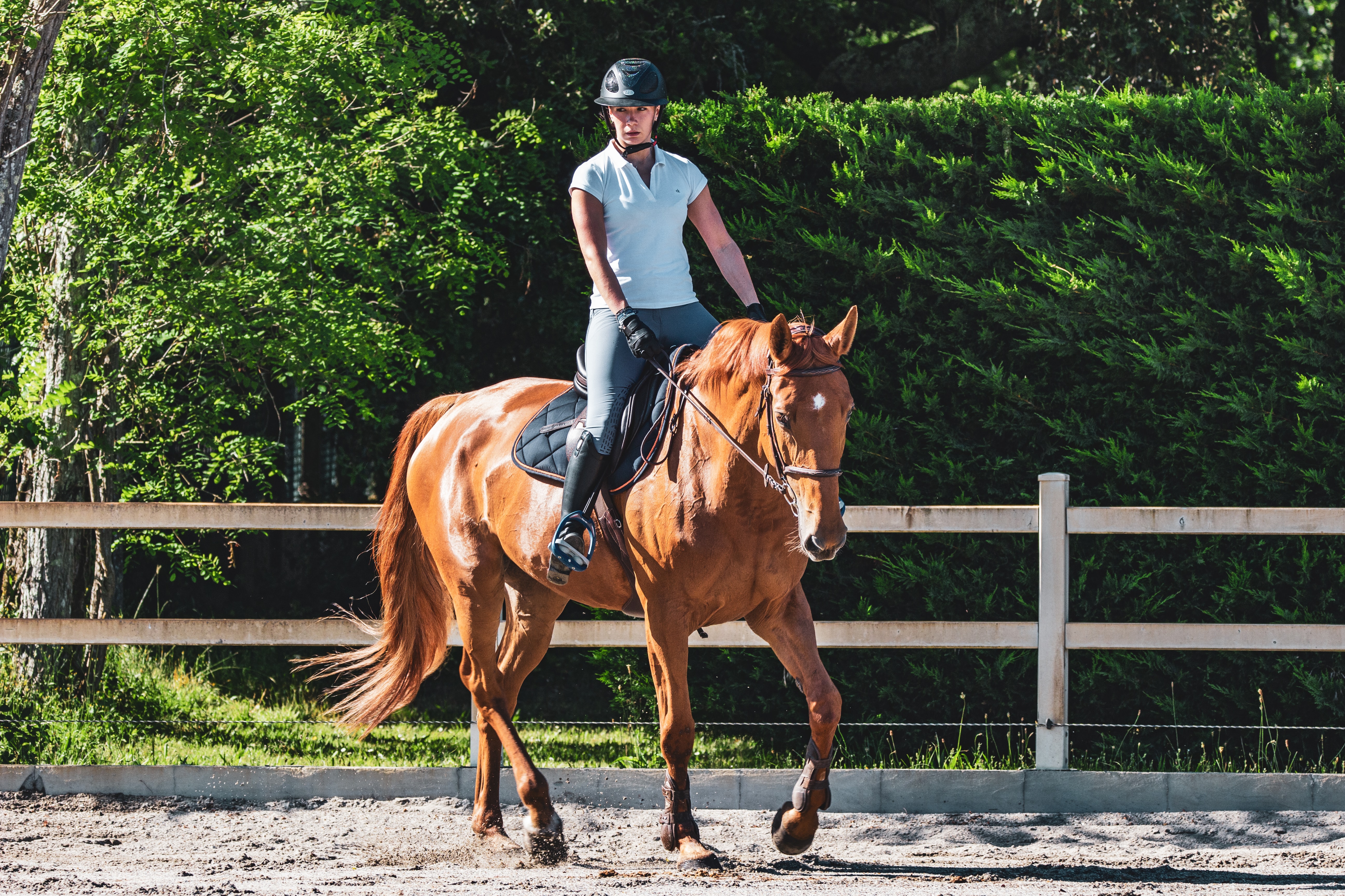 Riding Lessons